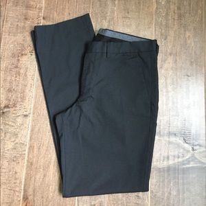 Express photographer dress pant