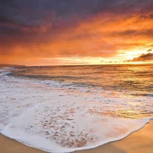 Meet your Posher, Emmy