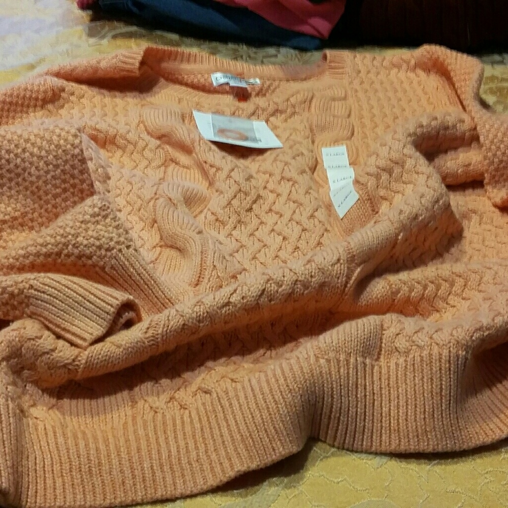 NWT Beautiful Pinkish Peach Sweater
