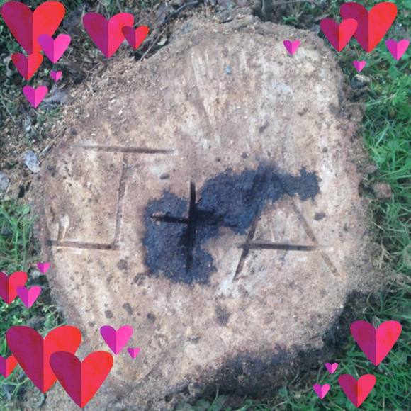 Meet your Posher, Andreamarie - Picture 1 of 1