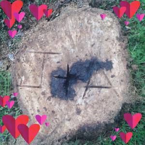 Meet your Posher, Andreamarie