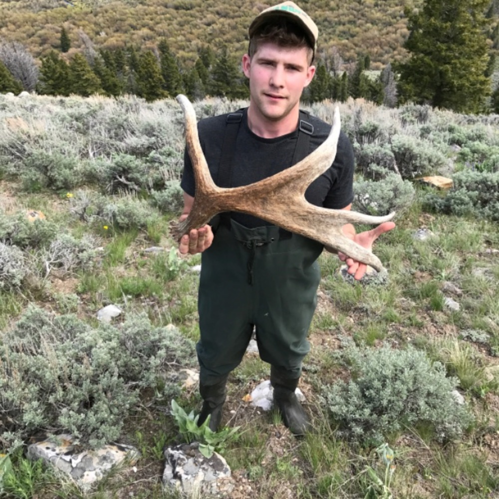 Meet your Posher, Dylan