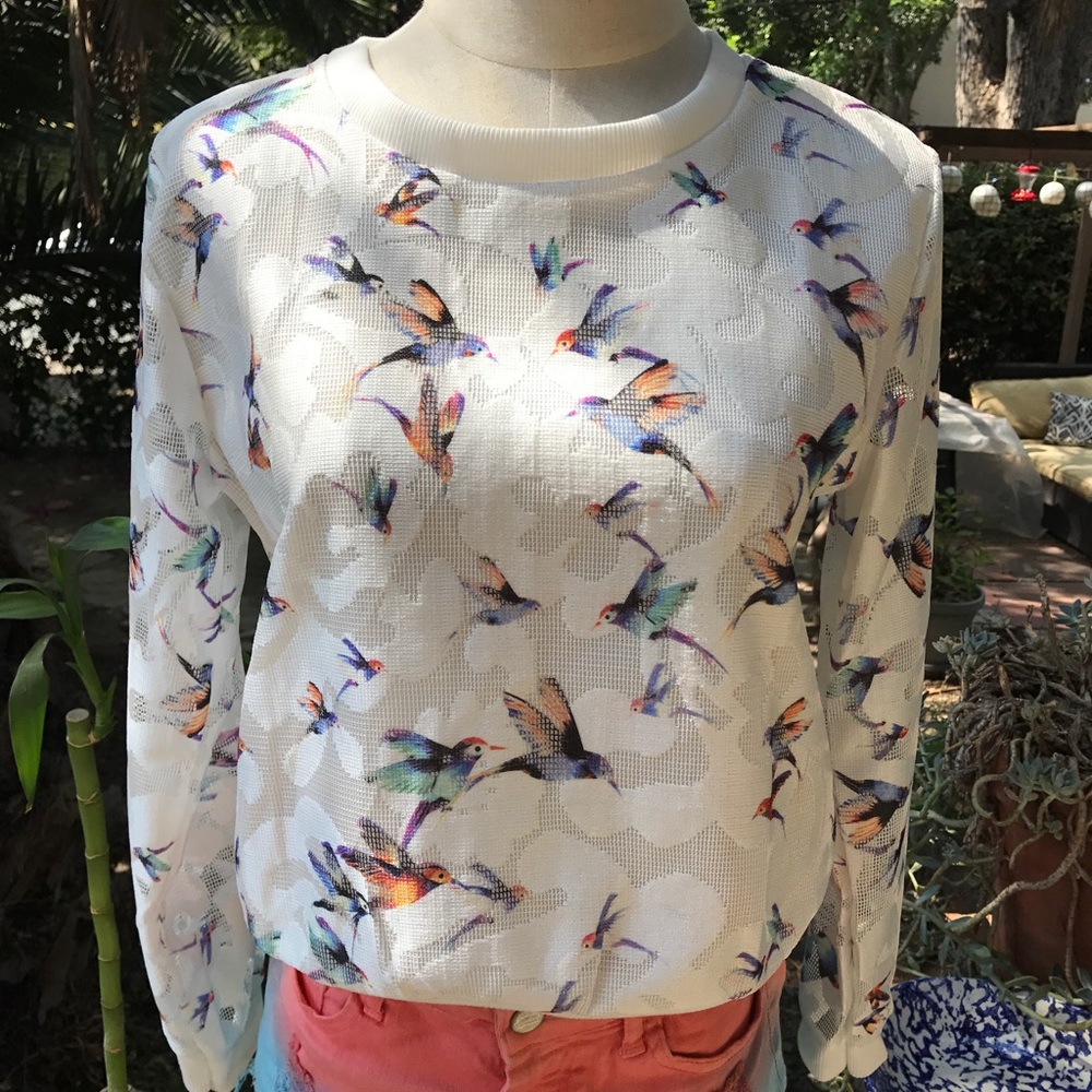 Any three for 20 birdies print top