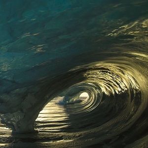 Meet your Posher, Ginger