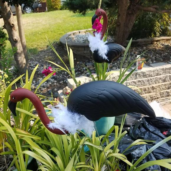 Meet your Posher, Melissa - Picture 1 of 1