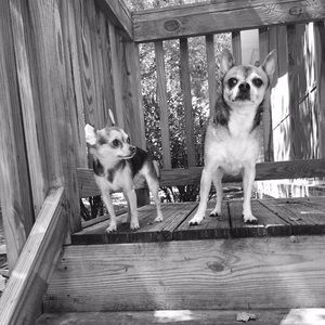 Meet your Posher, Candace