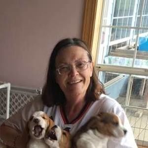 Meet your Posher, Jayne