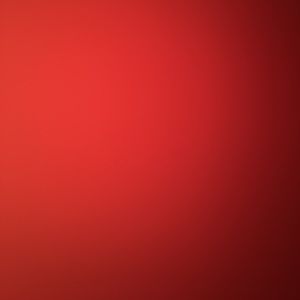 Meet your Posher, Lenny