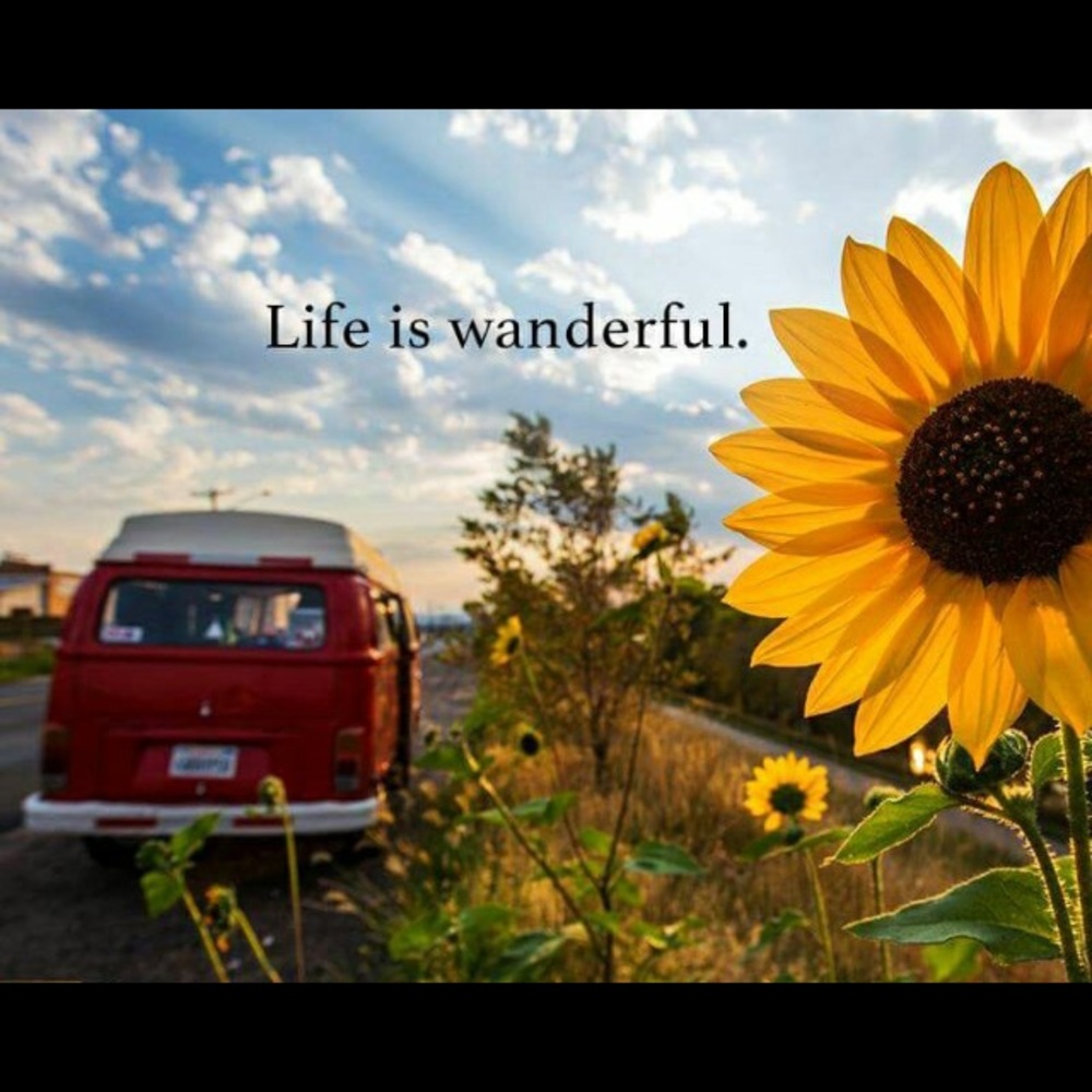 Meet your Posher, Darlene