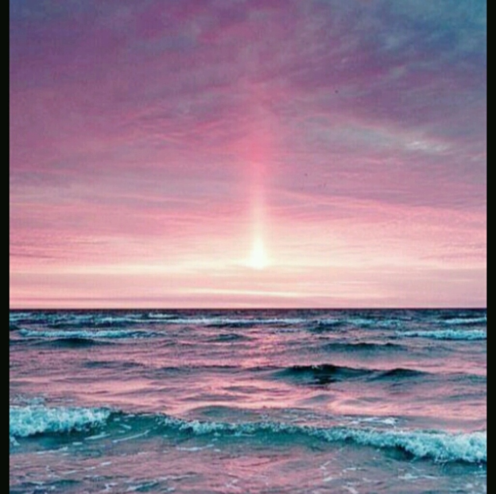 Meet your Posher, Ymani