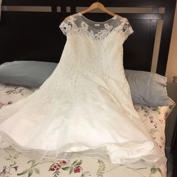 Audrey Hepburnesque wedding T length dress - Picture 5 of 7