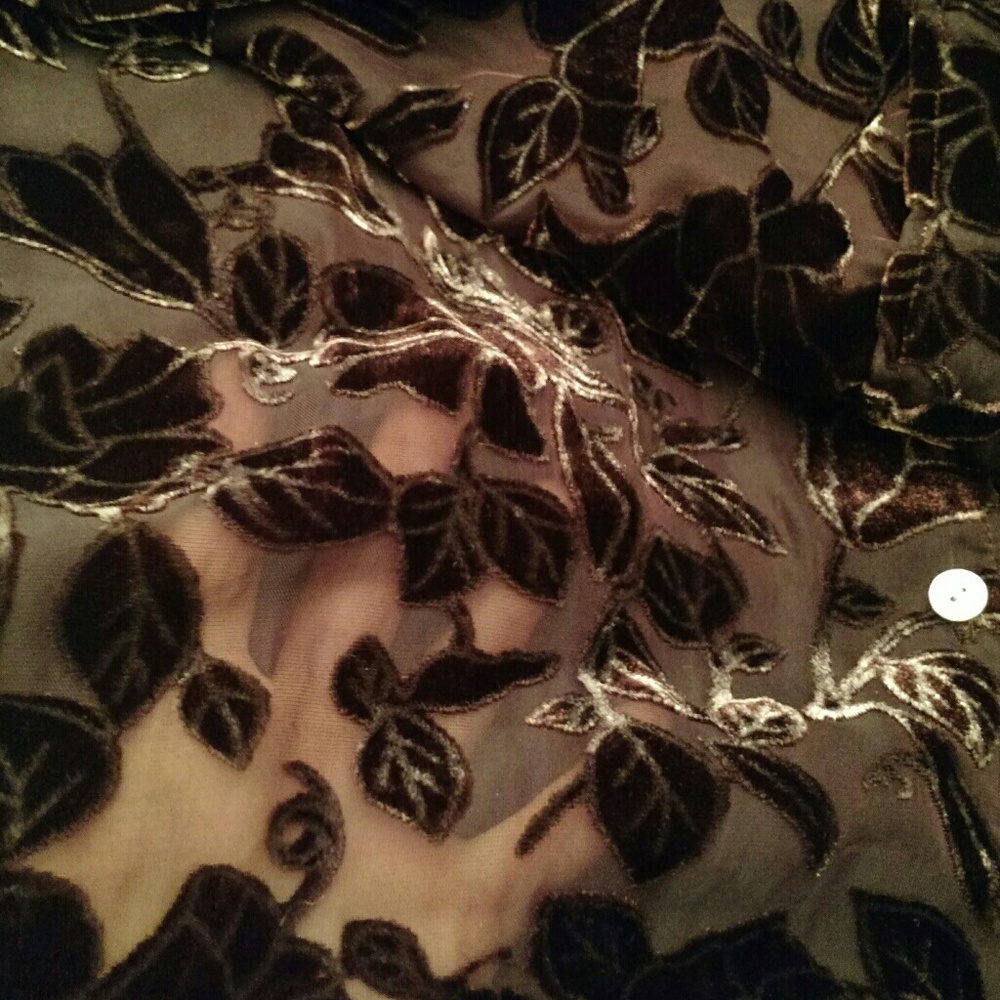 Embroidered Floral Semi--transparent Blouse