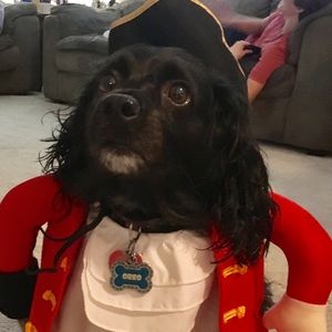 Meet your Posher, Thomas