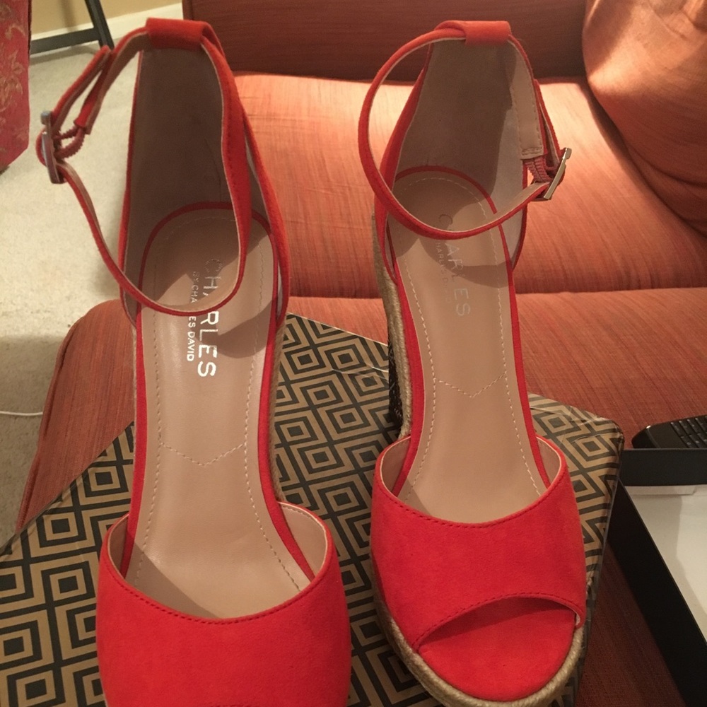 Brand new wedges! Only tried on never worn!