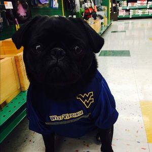 Meet your Posher, Alex