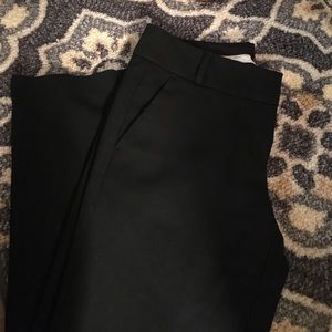 Ann Taylor loft dress pants