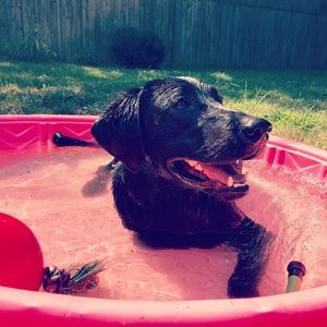 Meet your Posher, Blair