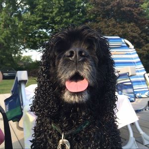 Meet your Posher, Emily