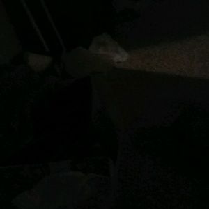 Meet your Posher, Zion