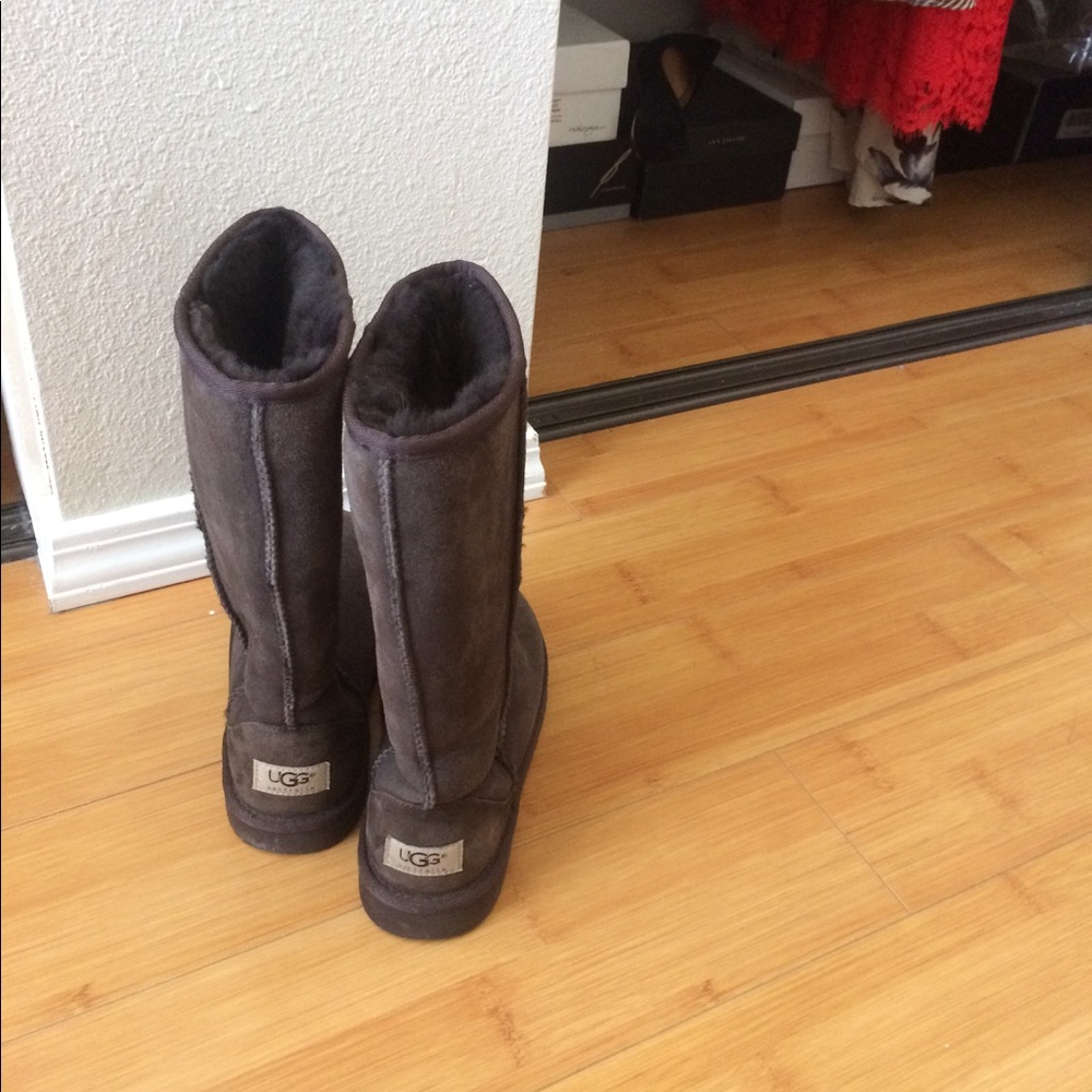 NWOT chocolate UGG boots!