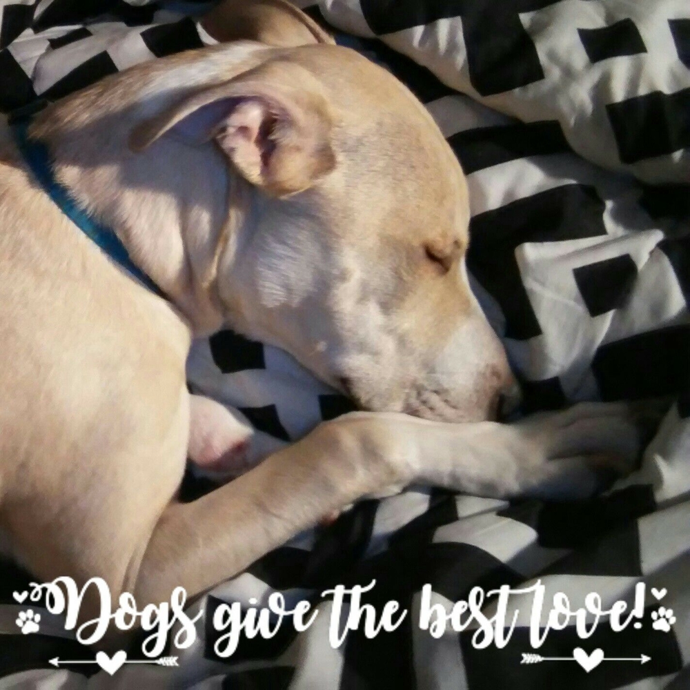 Meet your Posher, Adrielle