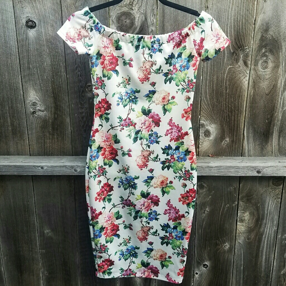 Windsor sleeveless floral print sexy dress