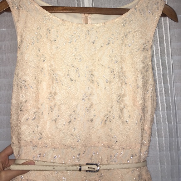 Blush Lace Dress - Picture 2 of 3