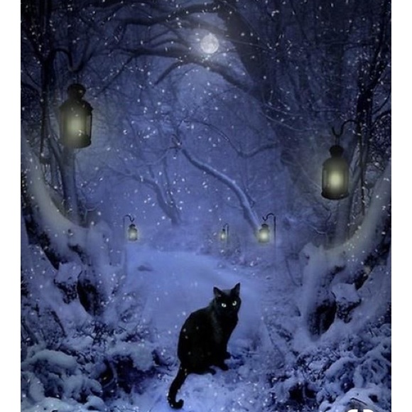 BUNDLE & SAVE - Picture 5 of 8