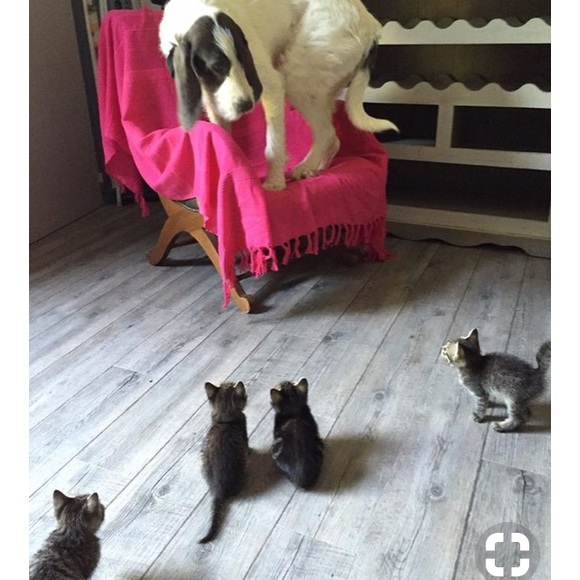 BUNDLE & SAVE - Picture 1 of 8