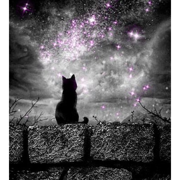 BUNDLE & SAVE - Picture 6 of 8