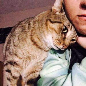 Meet your Posher, Amber