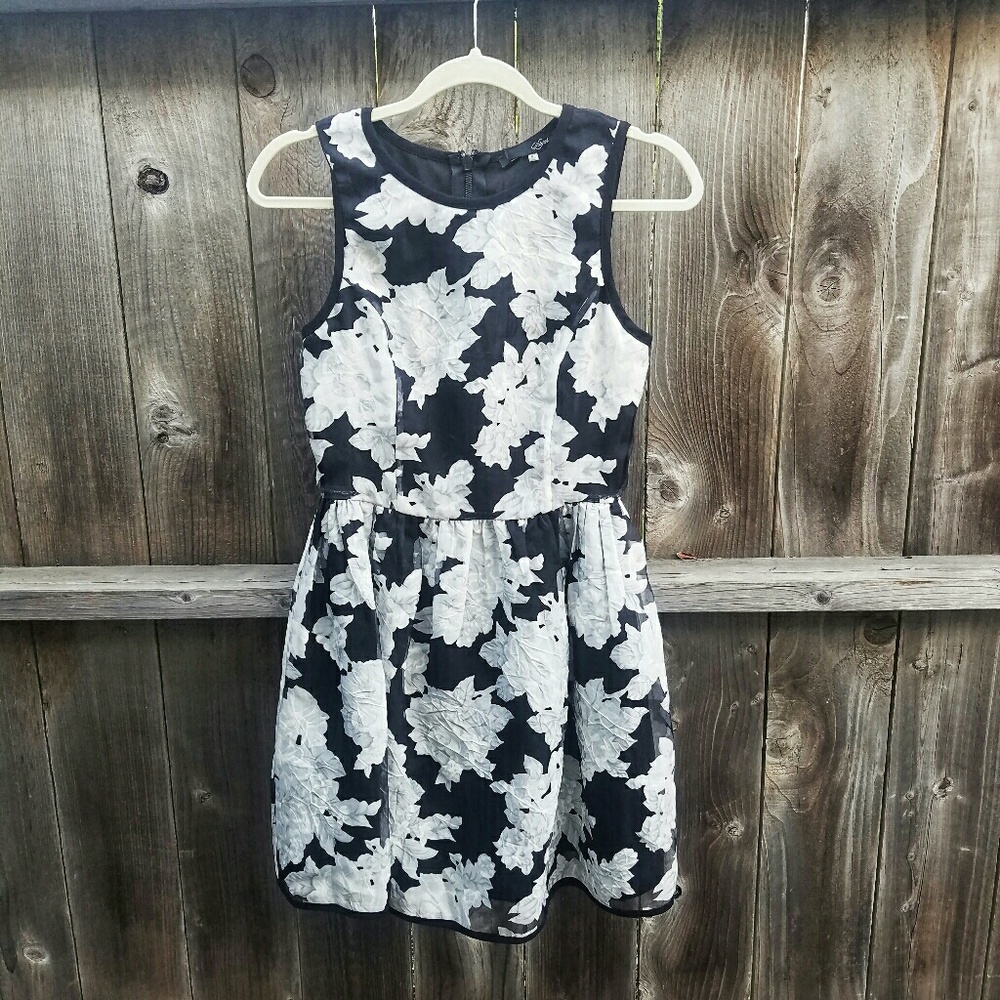 Sheer a-line mini Dress