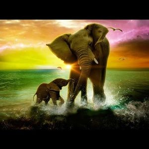 Meet your Posher, Marion