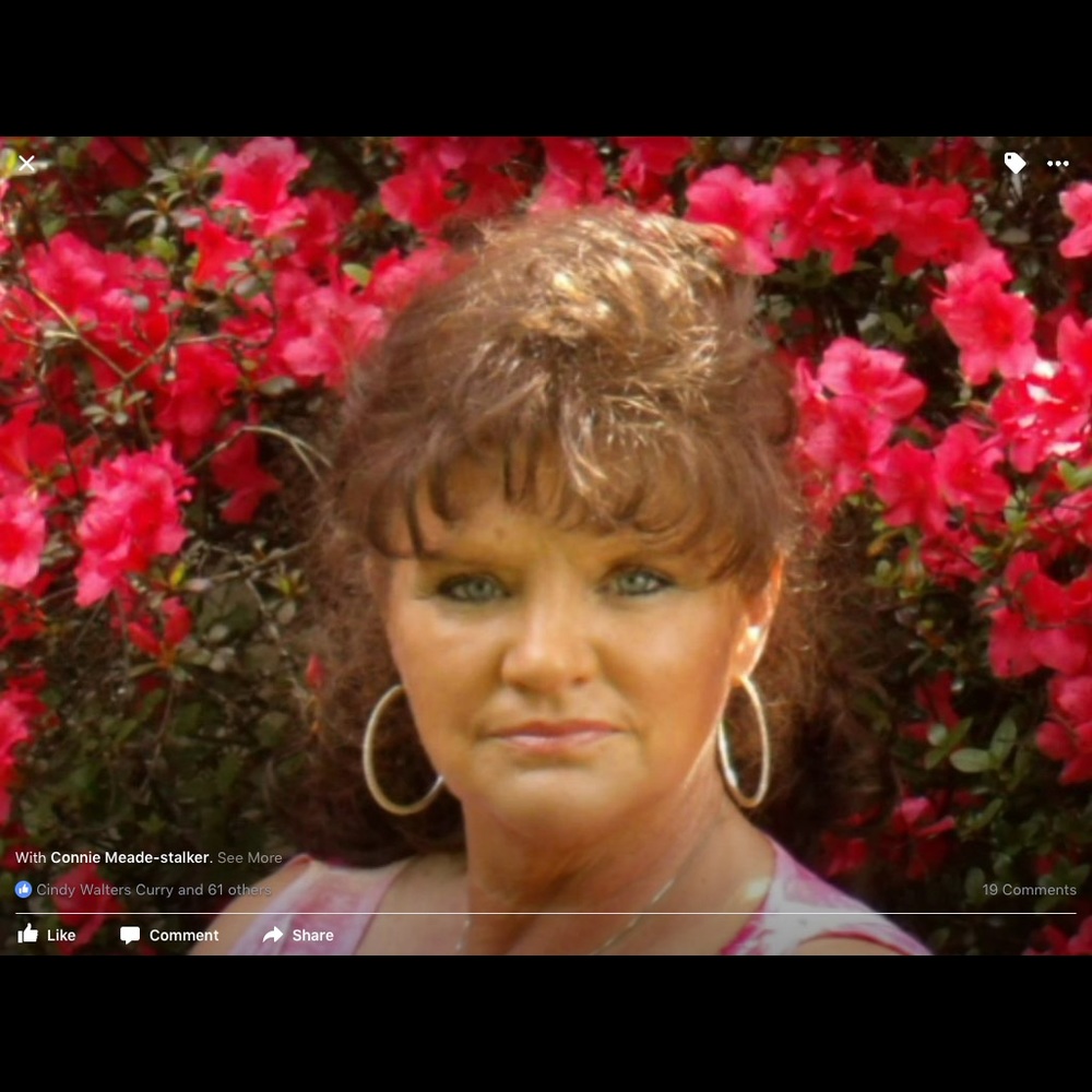 Meet your Posher, Venita