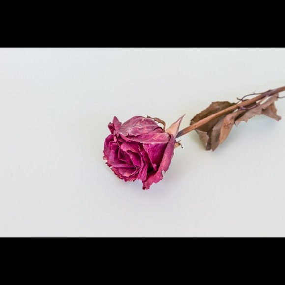 Meet your Posher, June - Picture 1 of 1