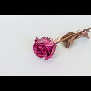 Meet your Posher, June