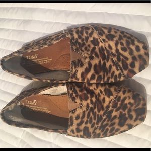 Leopard Toms