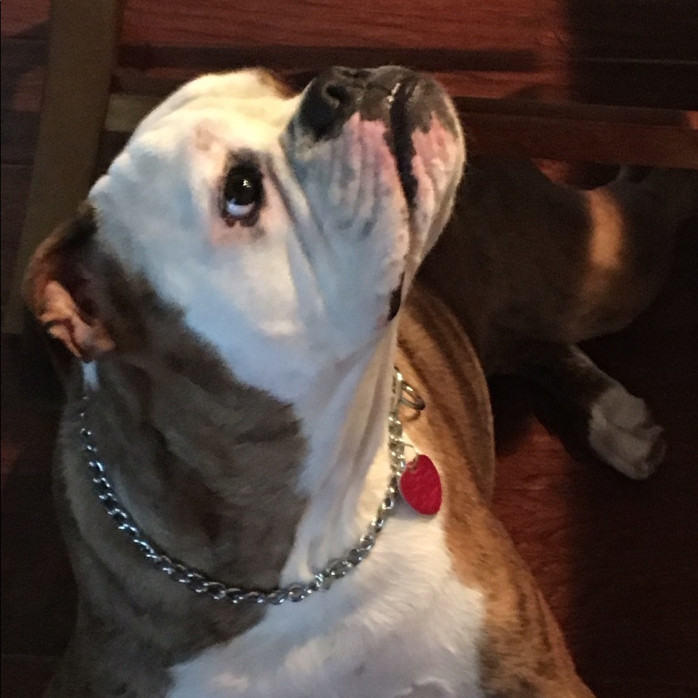 Meet your Posher, Marie