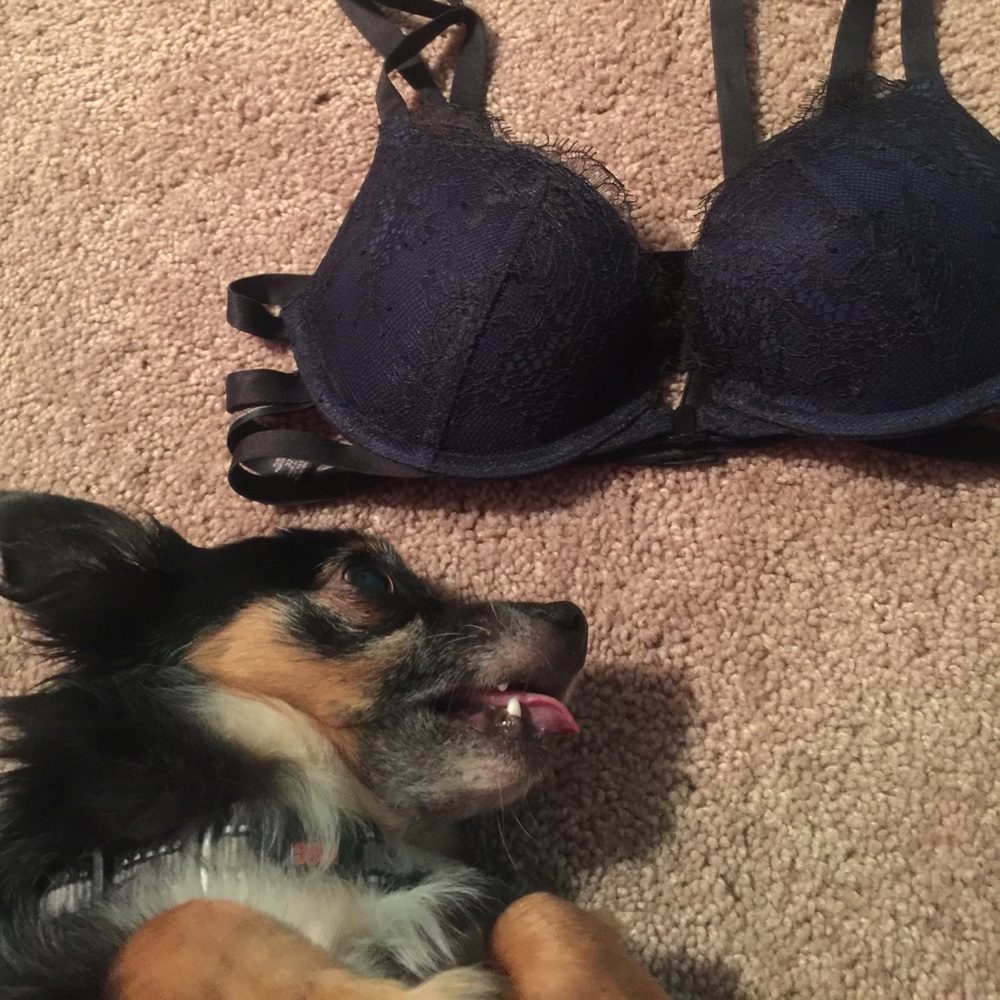 Vs Bra - image 2