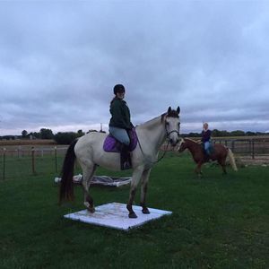 Meet your Posher, Alex