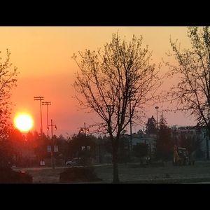 Meet your Posher, Laurie