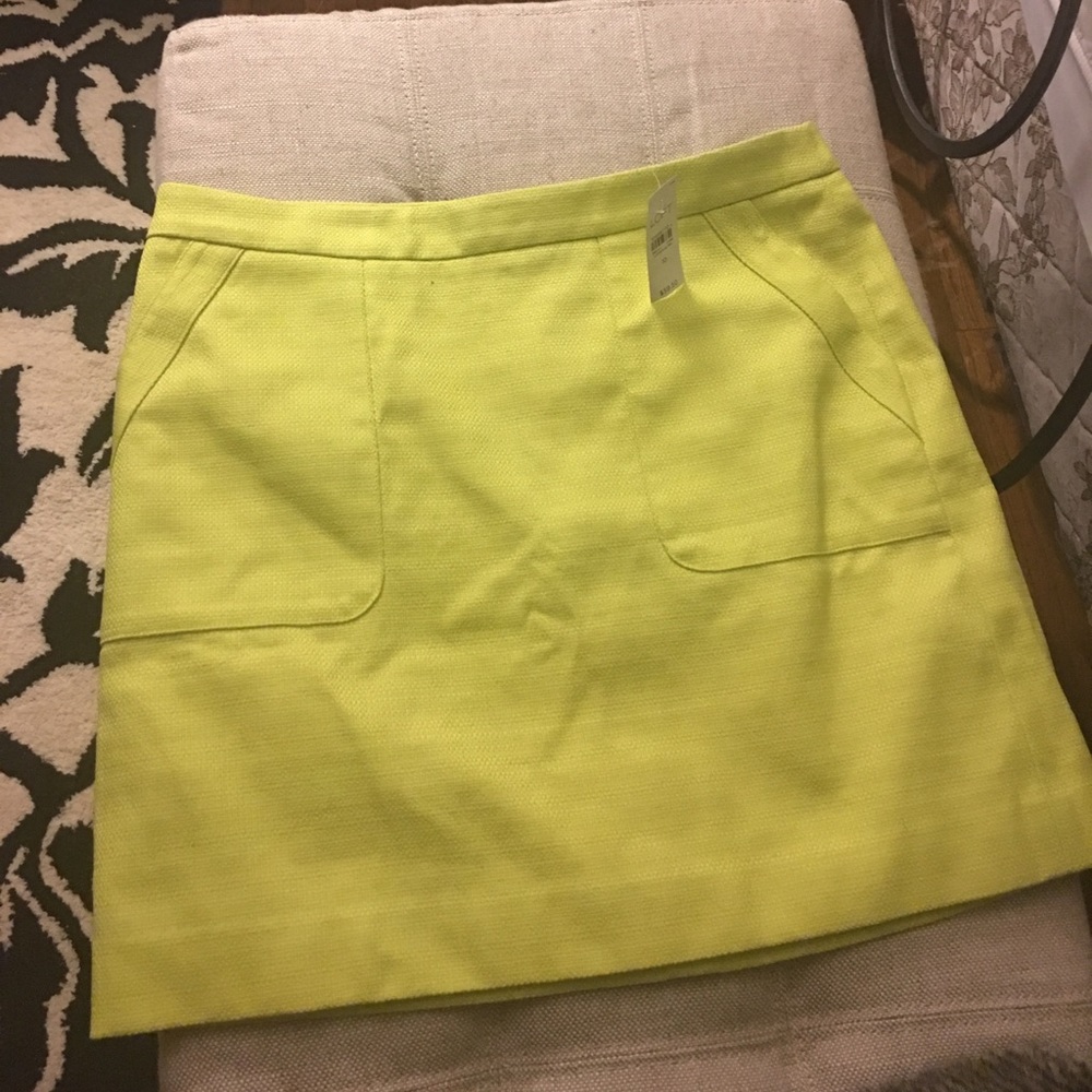 NWT LOFT skirt size 10