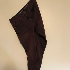 Burgundy Articles of Society skinny jeans