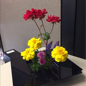 Meet your Posher, Lori