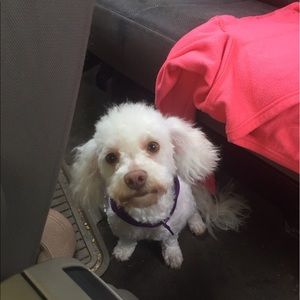 Meet your Posher, Noemi