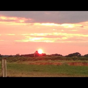 Meet your Posher, Daniena