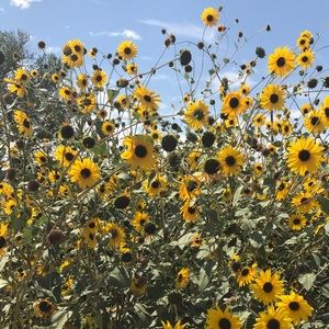 Meet your Posher, Carly