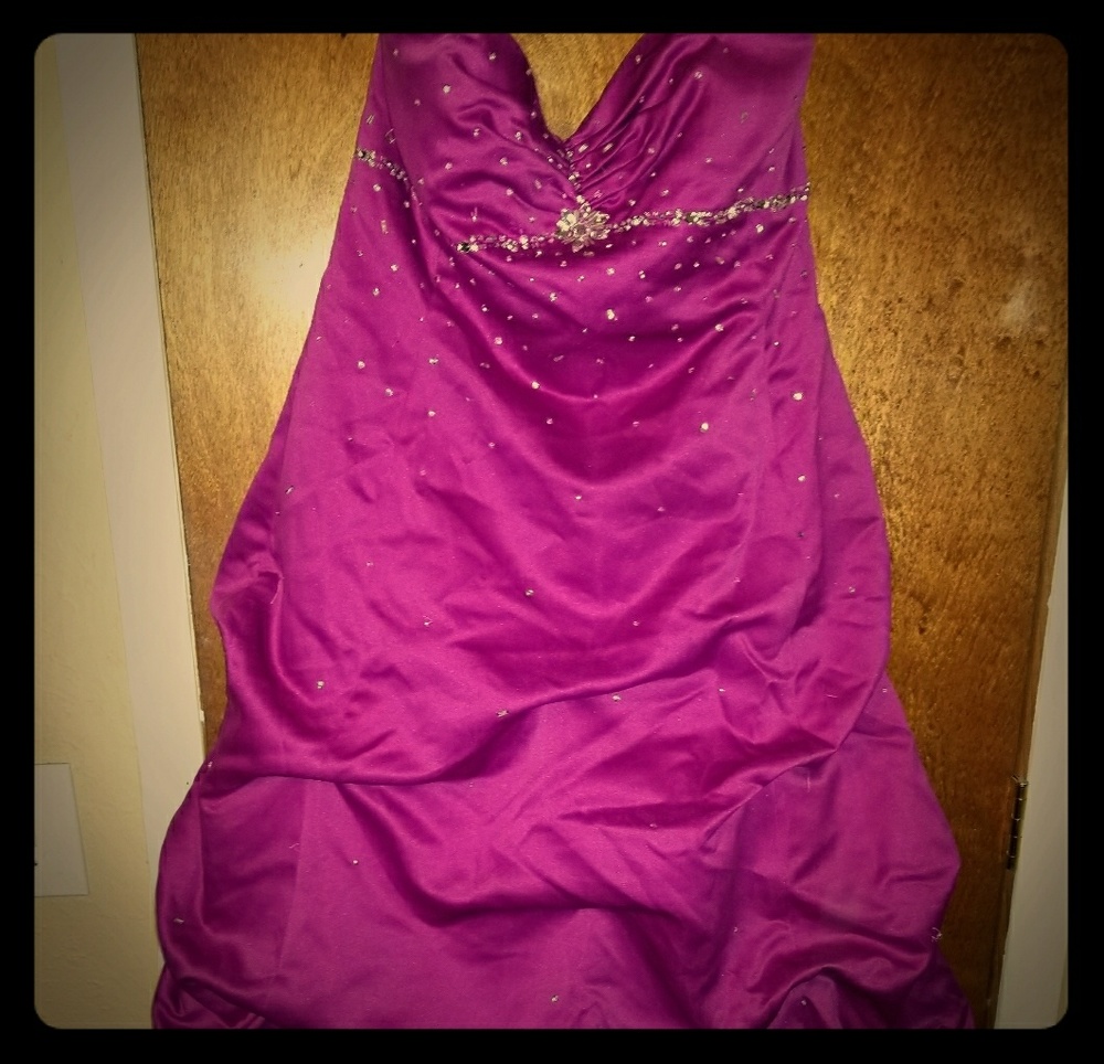 Plus Size Prom/Winter Formal Dress GORGEOUS