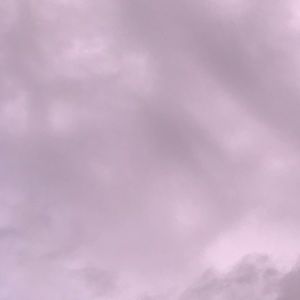 Meet your Posher, Jane