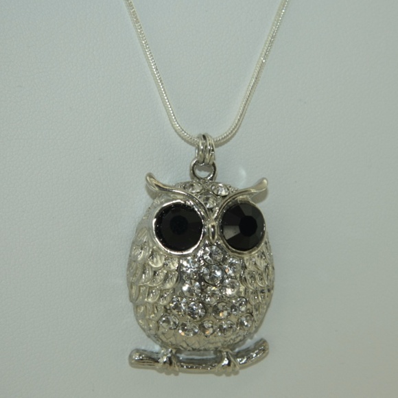 NWOT! Owl Necklace - Picture 5 of 8